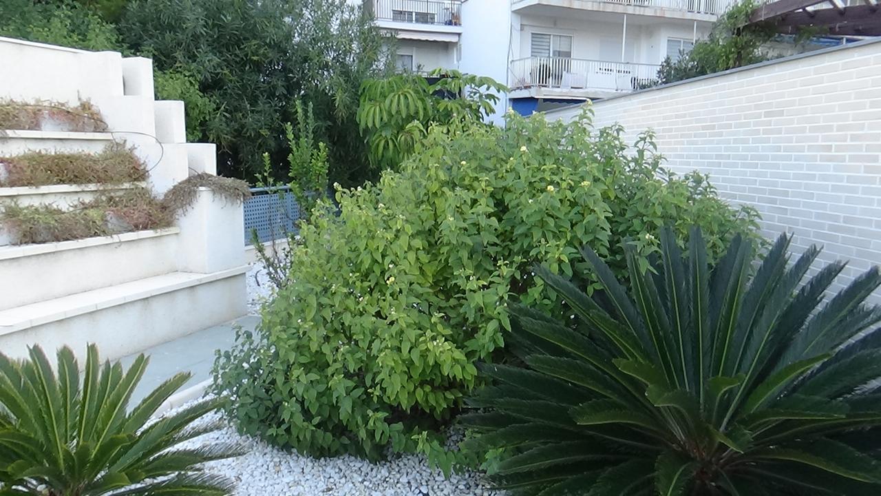 Aпартаменты В San Juan Playa 阿利坎特 外观 照片